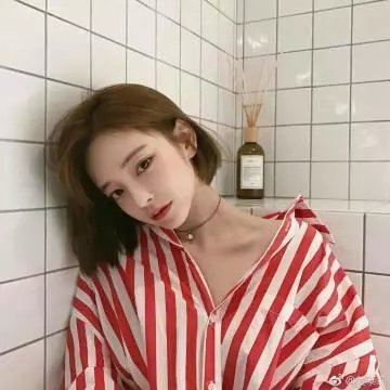 百日蔷薇